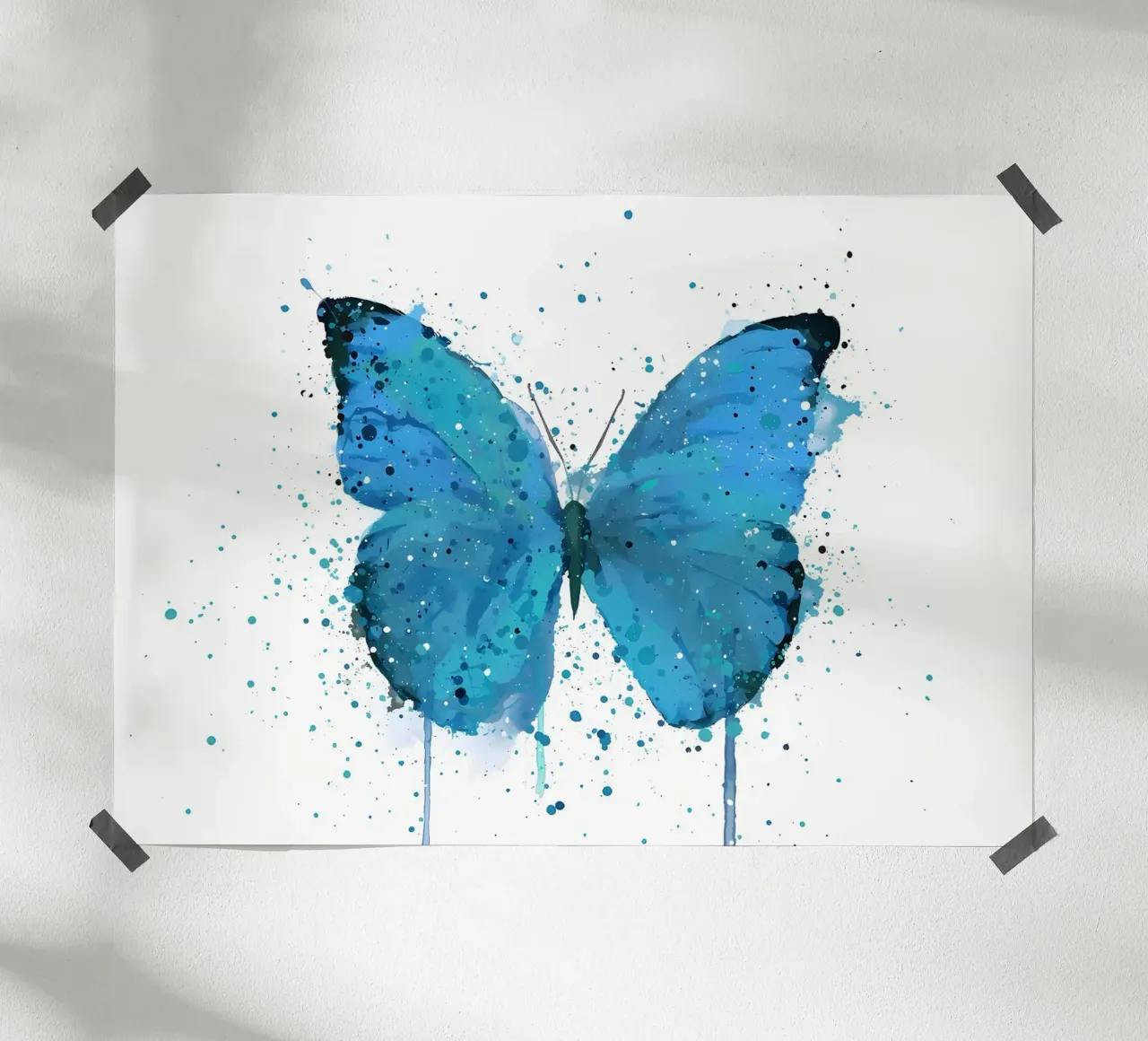 Farfalla Morpho poster da Nami