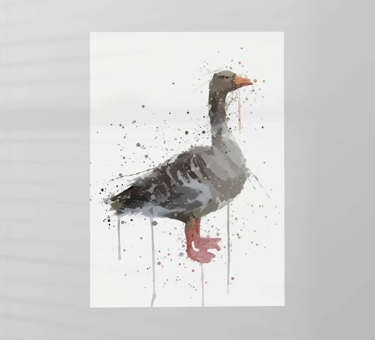 Oca pellicola backlit da Nami