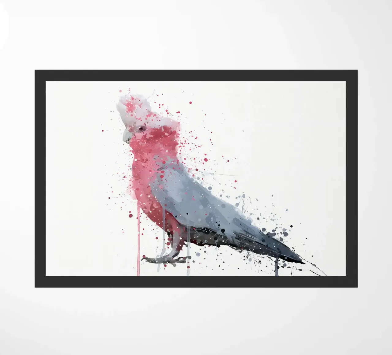 Rosa cacatua zerbino da Nami