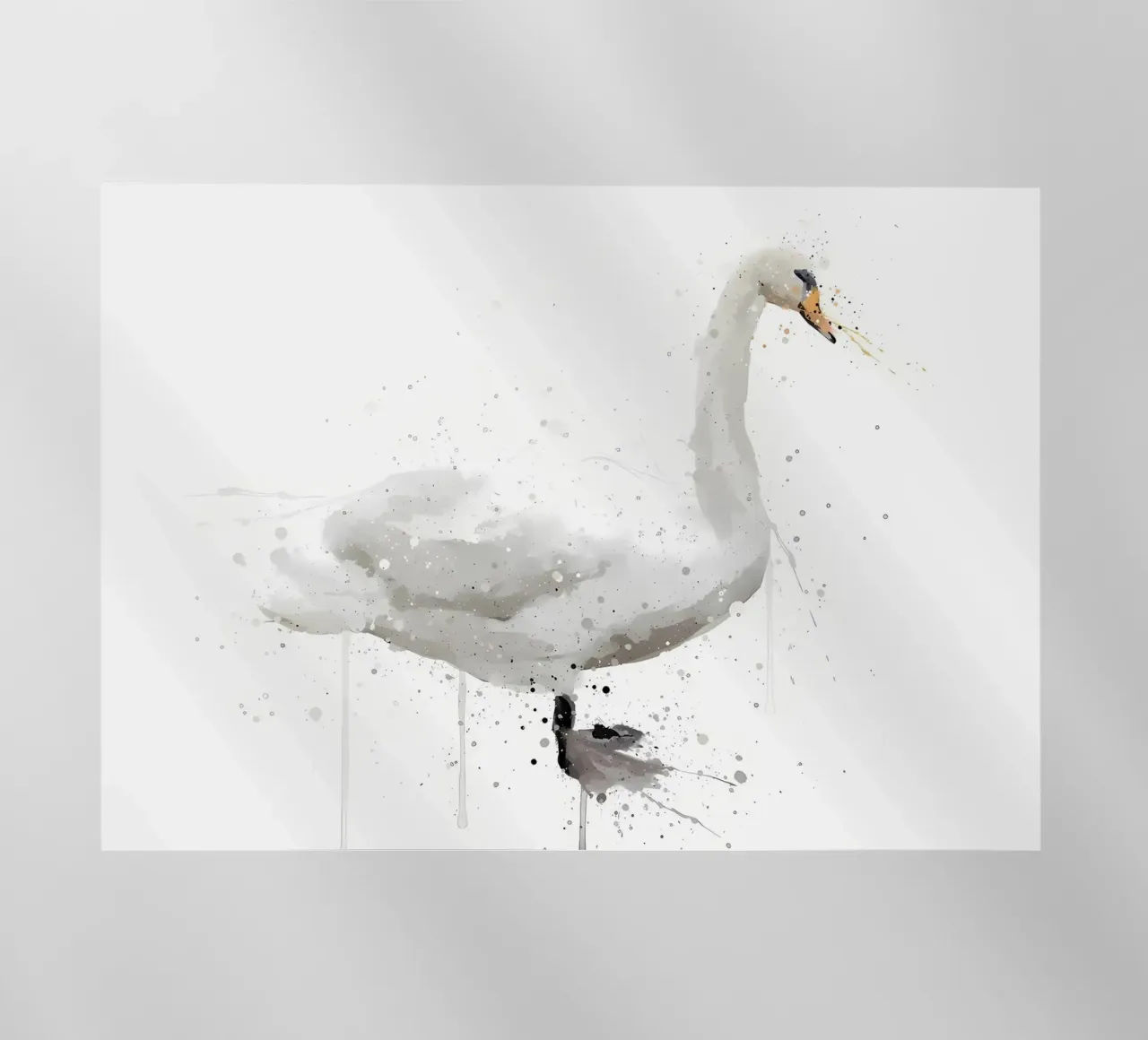 Cigno pellicola backlit da Nami