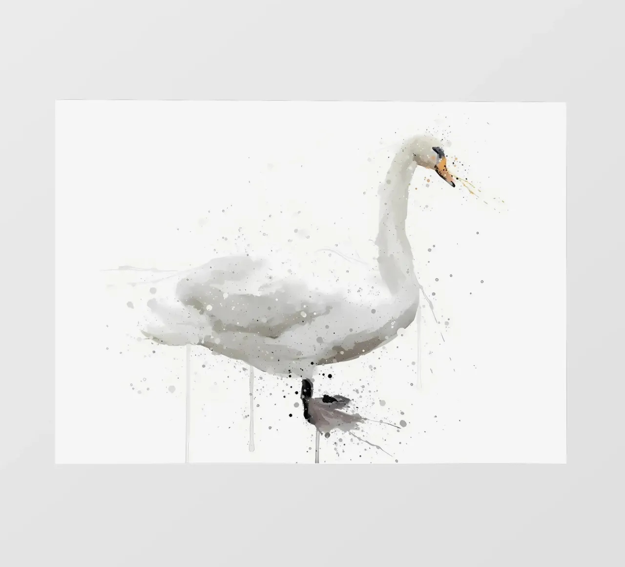 Cigno pellicola backlit da Nami