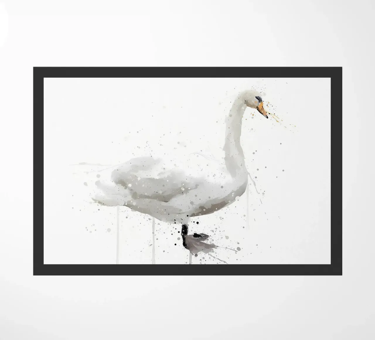 Cigno zerbino da Nami