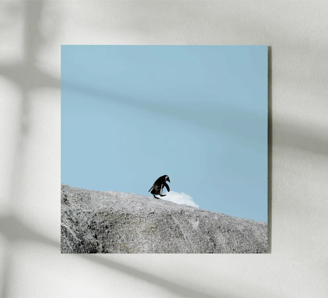 Take A Ride plexiglass da Rafael Burato