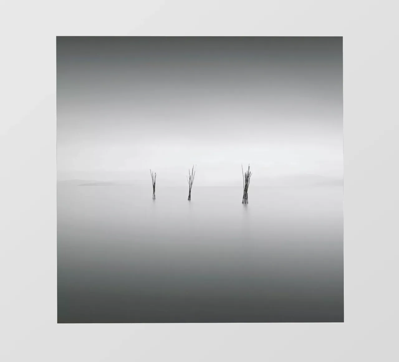 Dre pellicola backlit da Michael J. Reibert