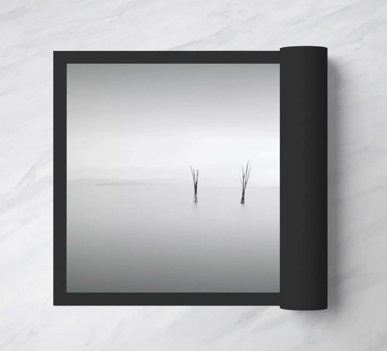 Dre zerbino da Michael J. Reibert