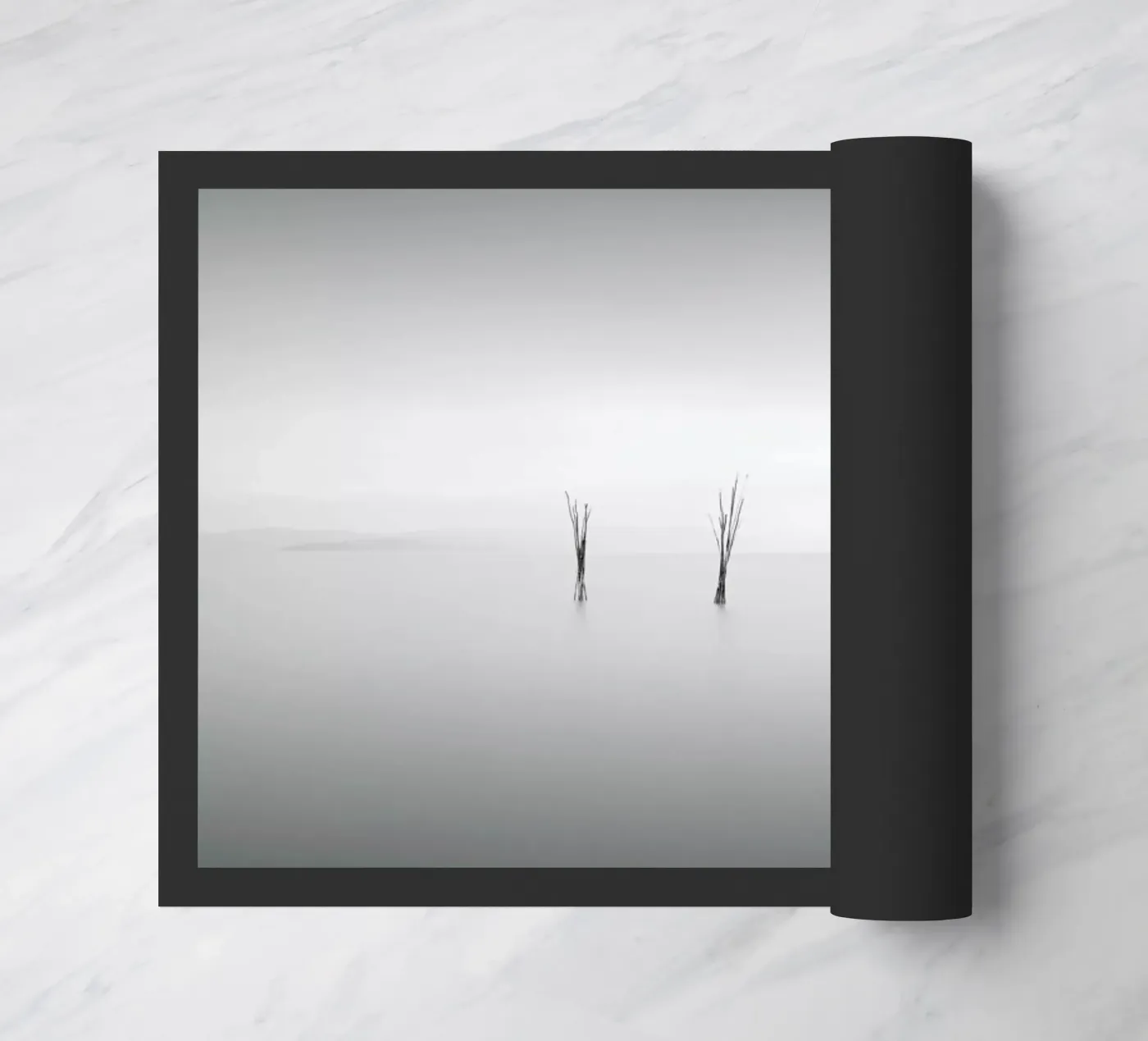 Dre zerbino da Michael J. Reibert