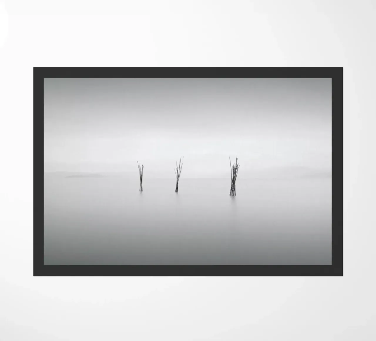 Dre zerbino da Michael J. Reibert