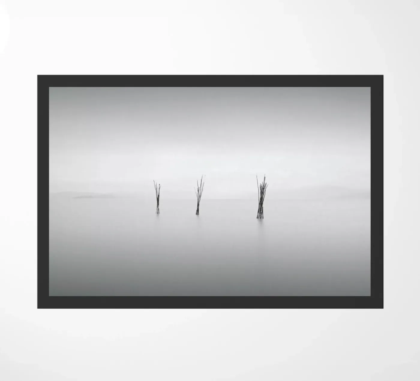 Dre zerbino da Michael J. Reibert