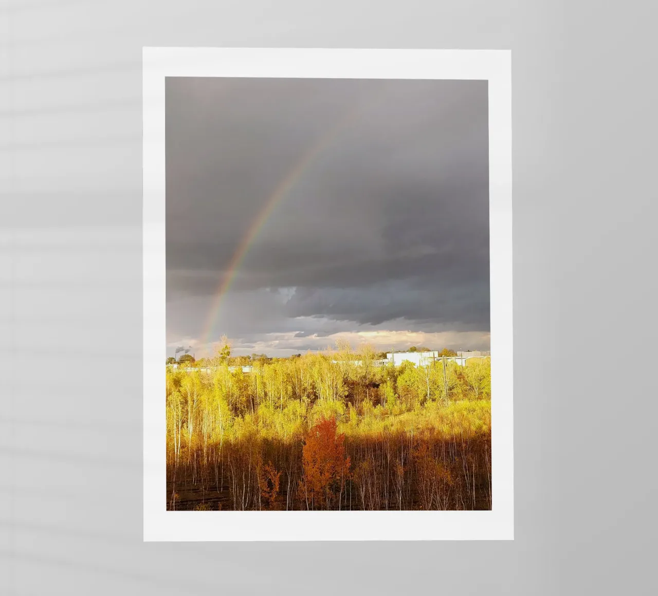 rainbow pellicola backlit da SunflowerDE