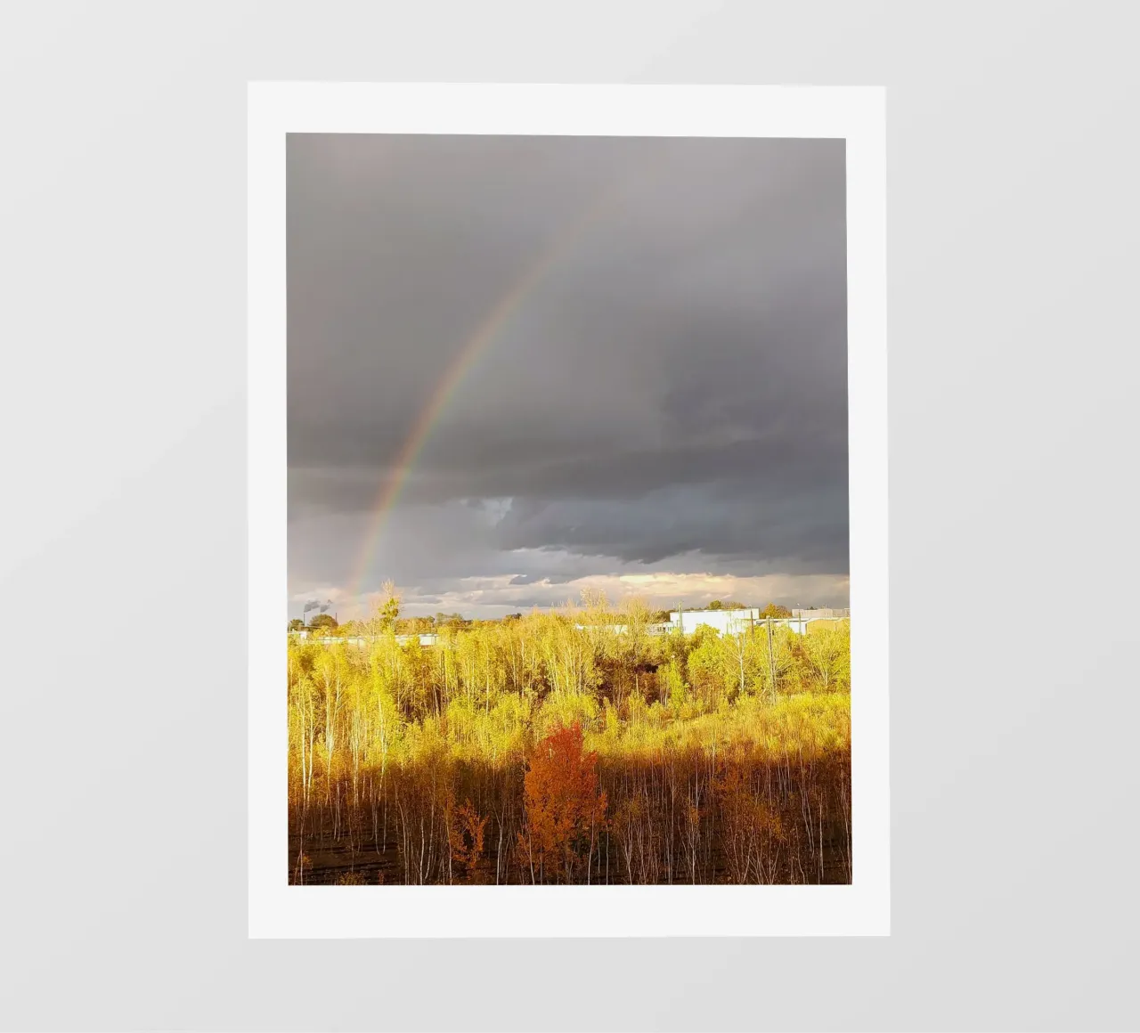 rainbow pellicola backlit da SunflowerDE