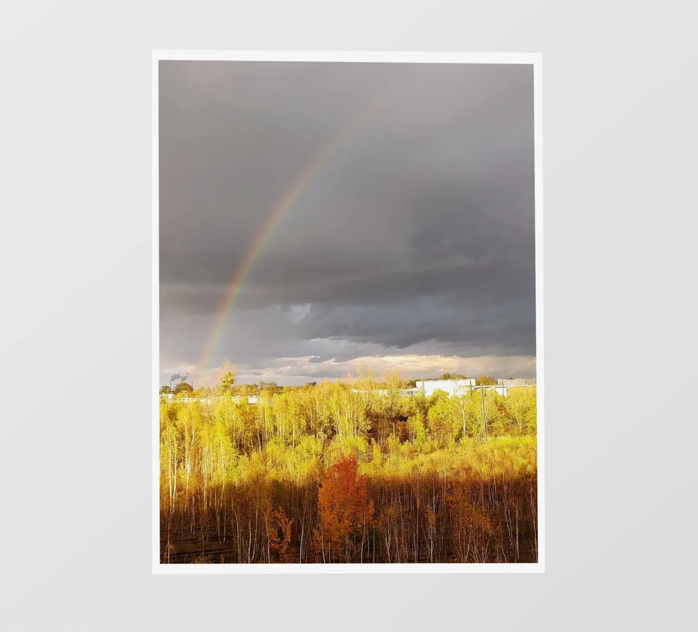 rainbow fotobehang van SunflowerDE