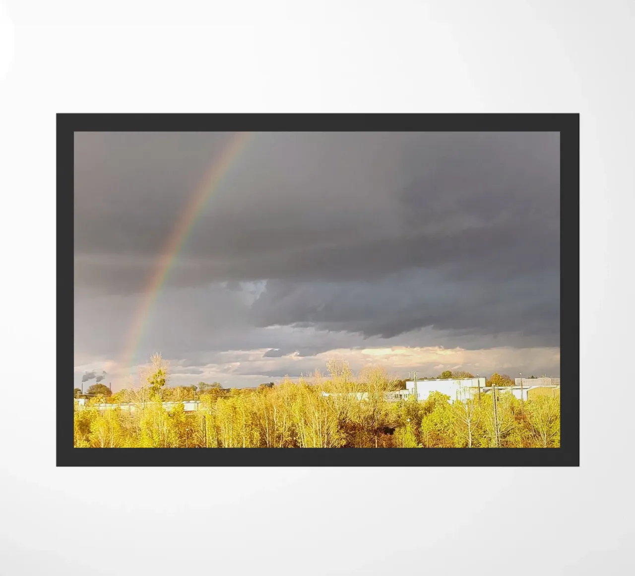 rainbow zerbino da SunflowerDE