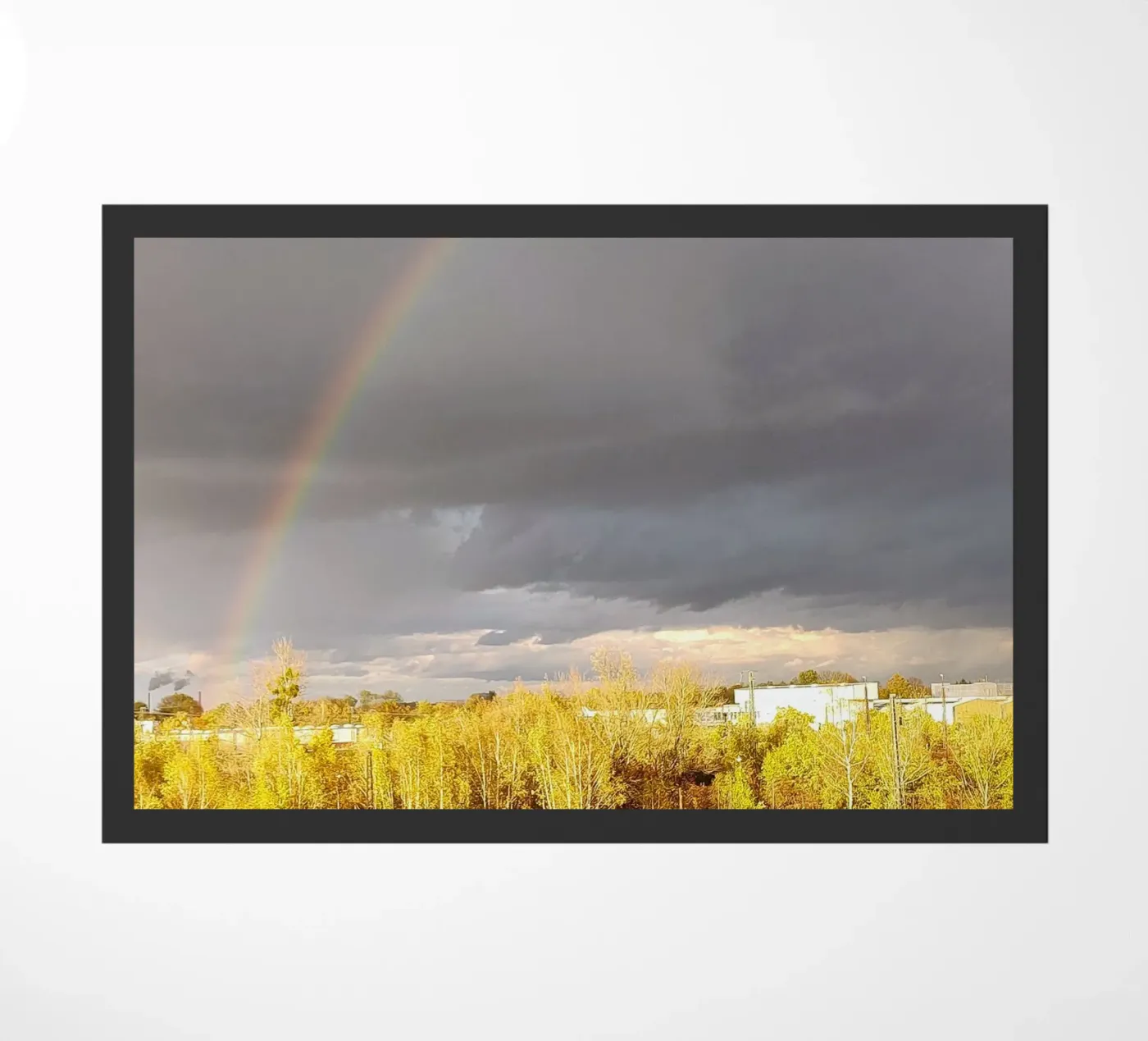 rainbow zerbino da SunflowerDE