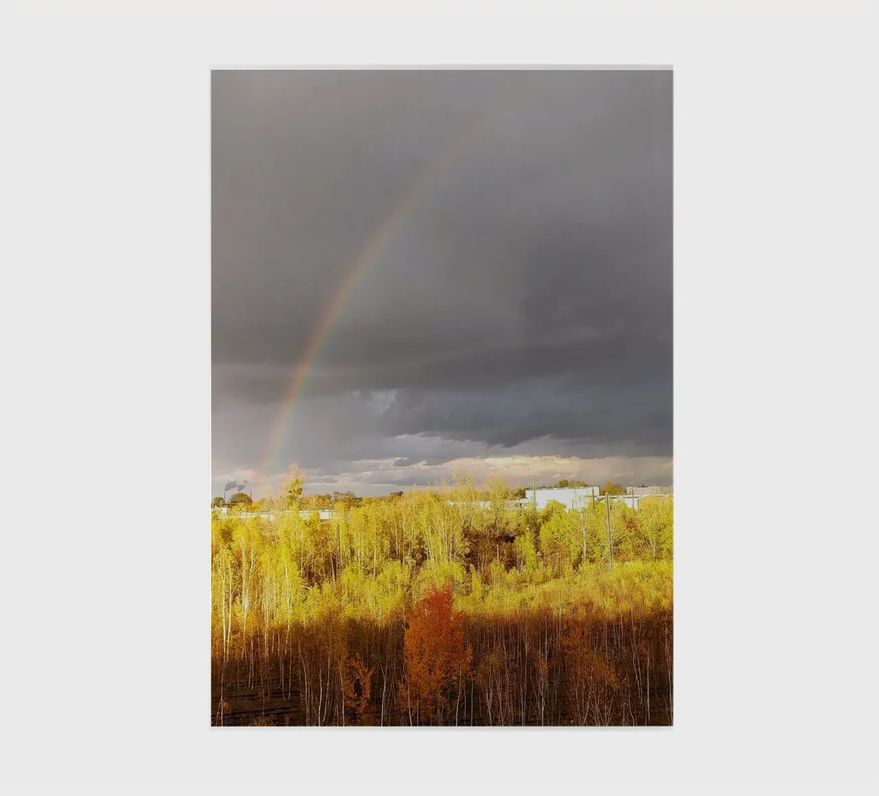 rainbow notebook by SunflowerDE
