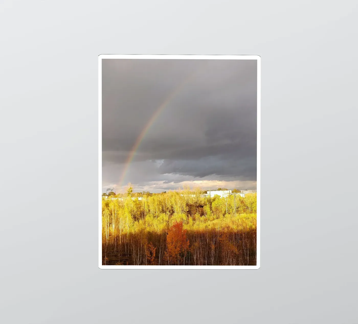 rainbow sticker by SunflowerDE