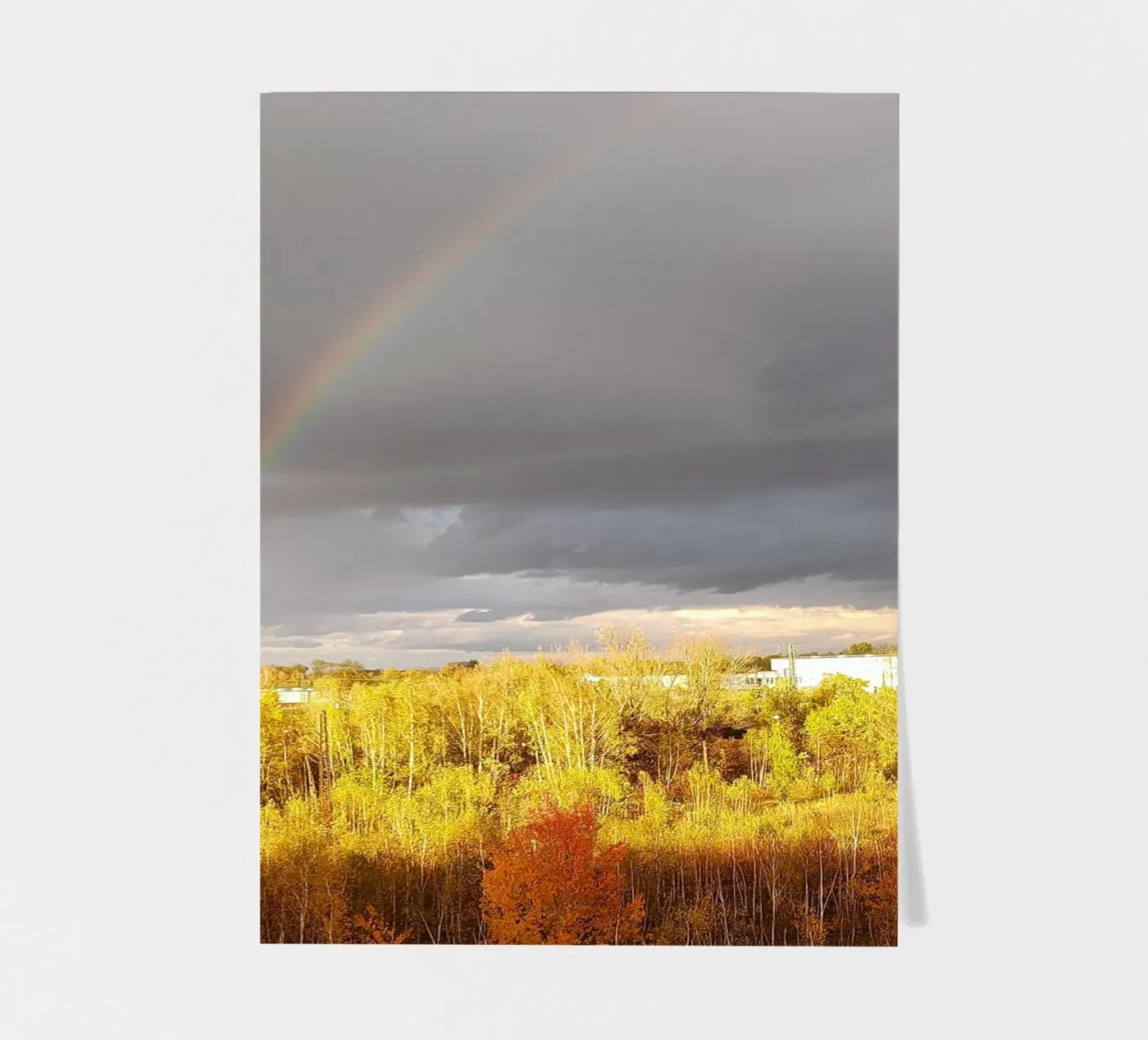 rainbow sticker sheet by SunflowerDE