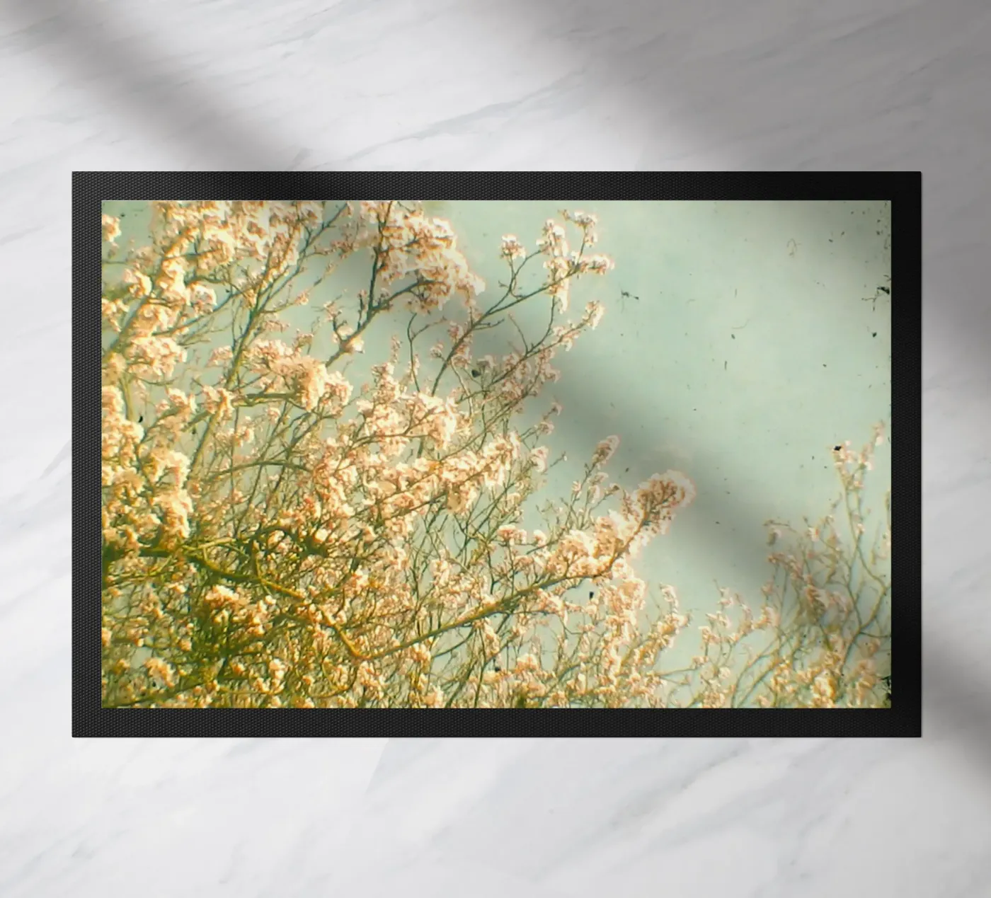 Primavera zerbino da Cassia Beck Photography