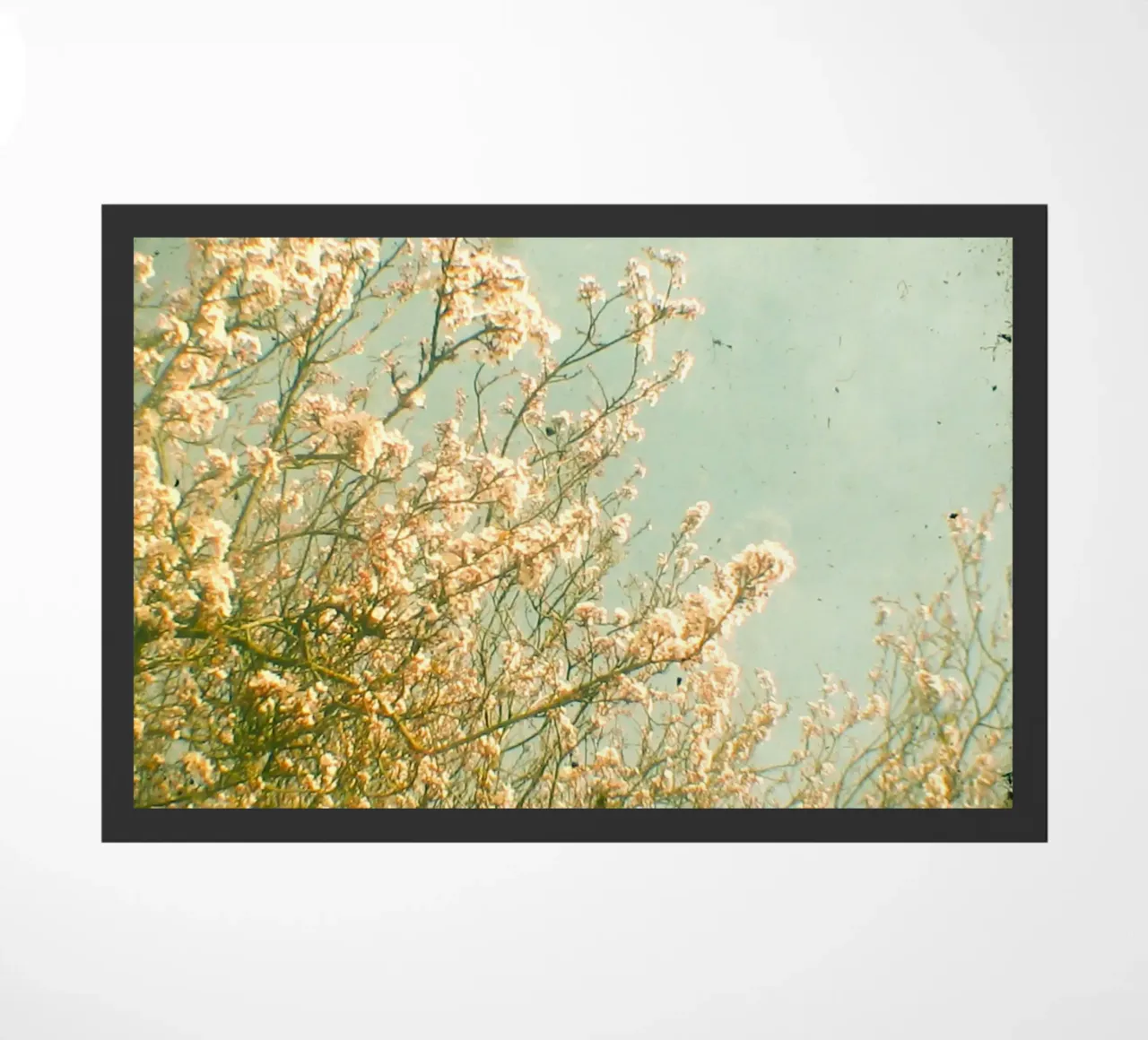 Spring doormat by Cassia Beck Photography