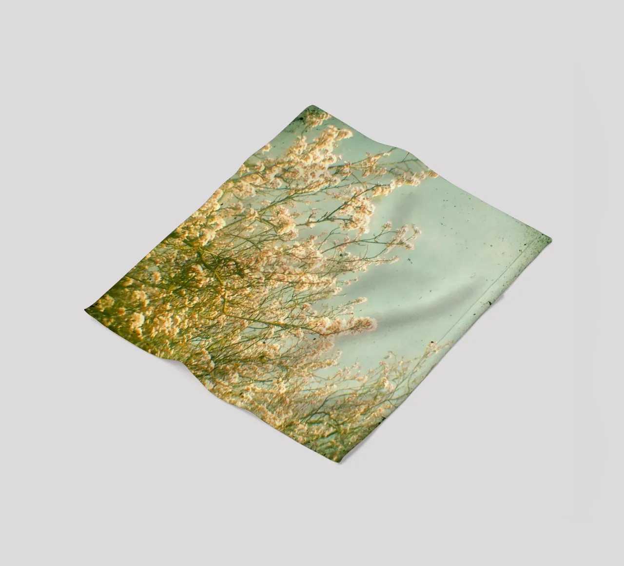Spring fleece blanket by Cassia Beck Photography