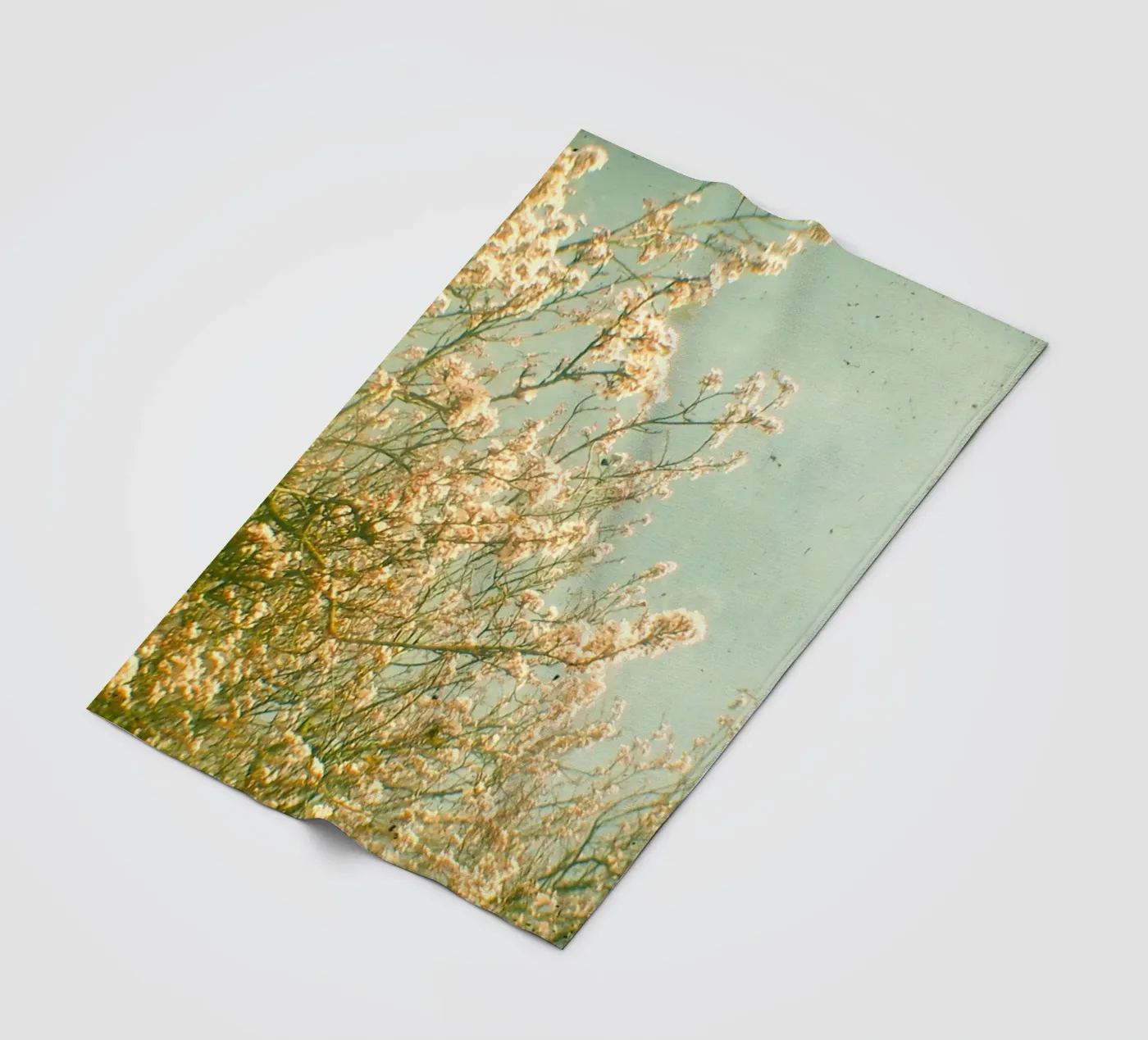 Spring fleece blanket by Cassia Beck Photography