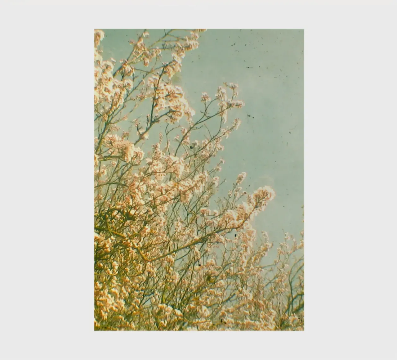 Spring notebook by Cassia Beck Photography