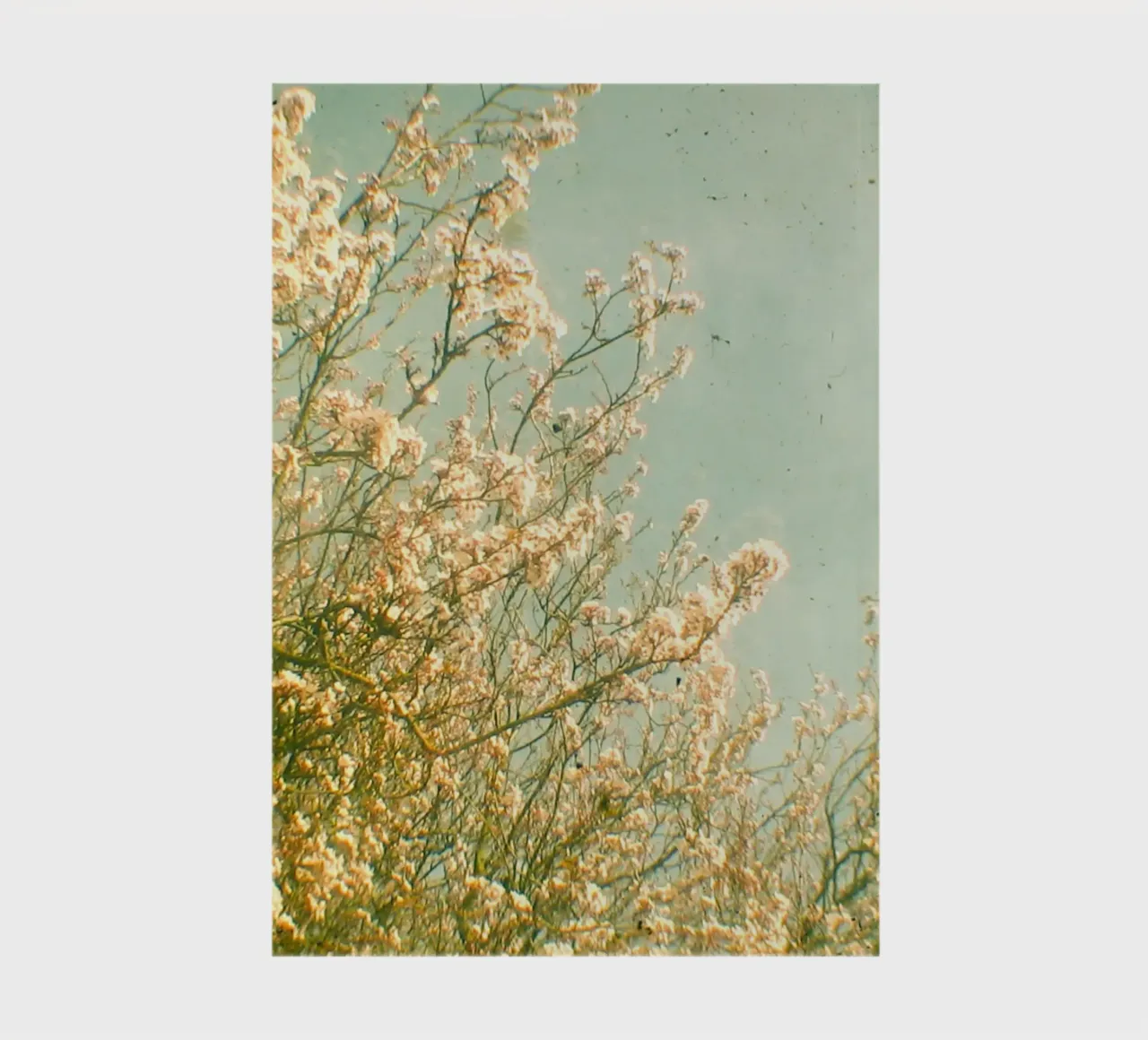 Spring notebook by Cassia Beck Photography