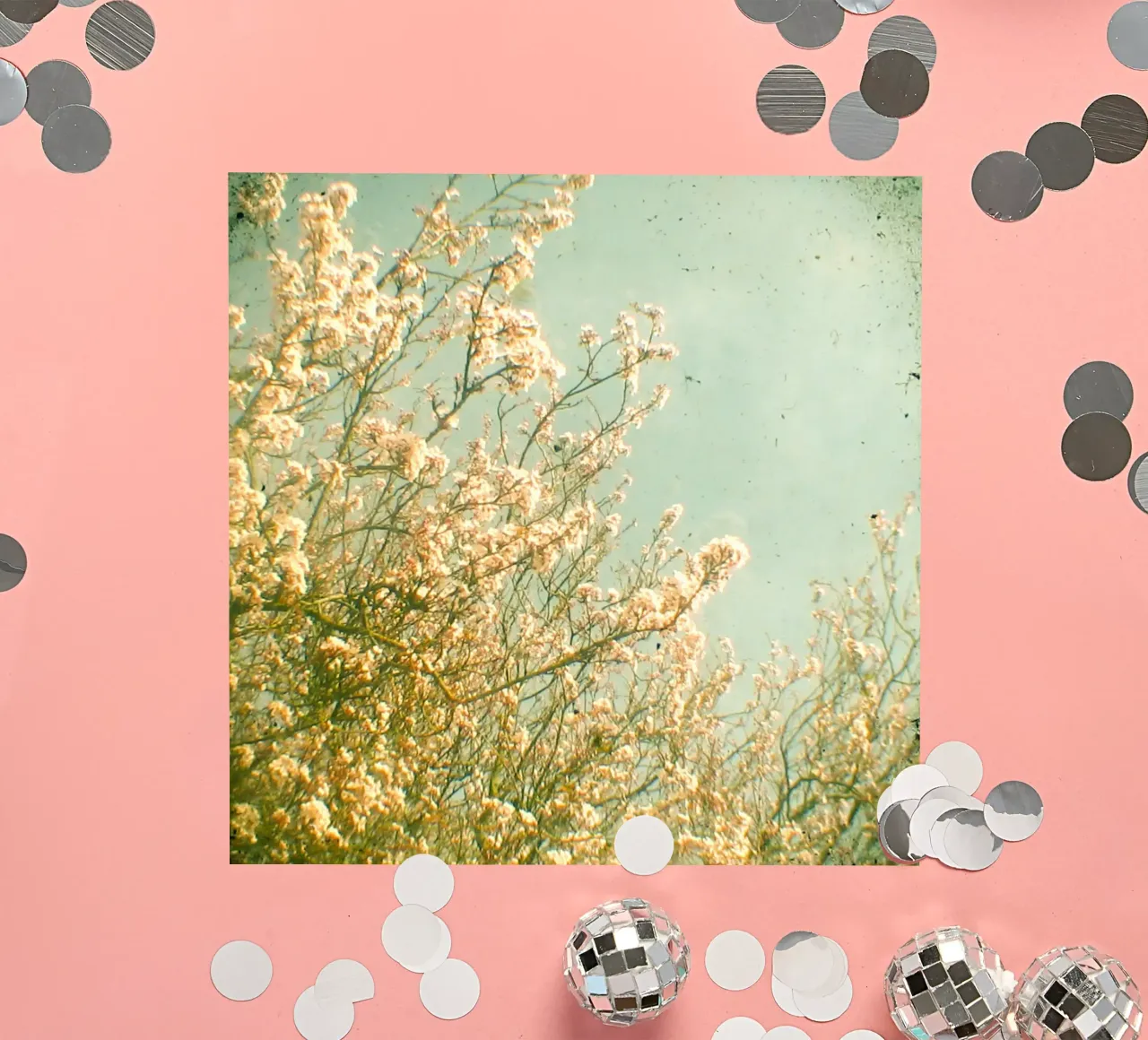 Spring sticker by Cassia Beck Photography