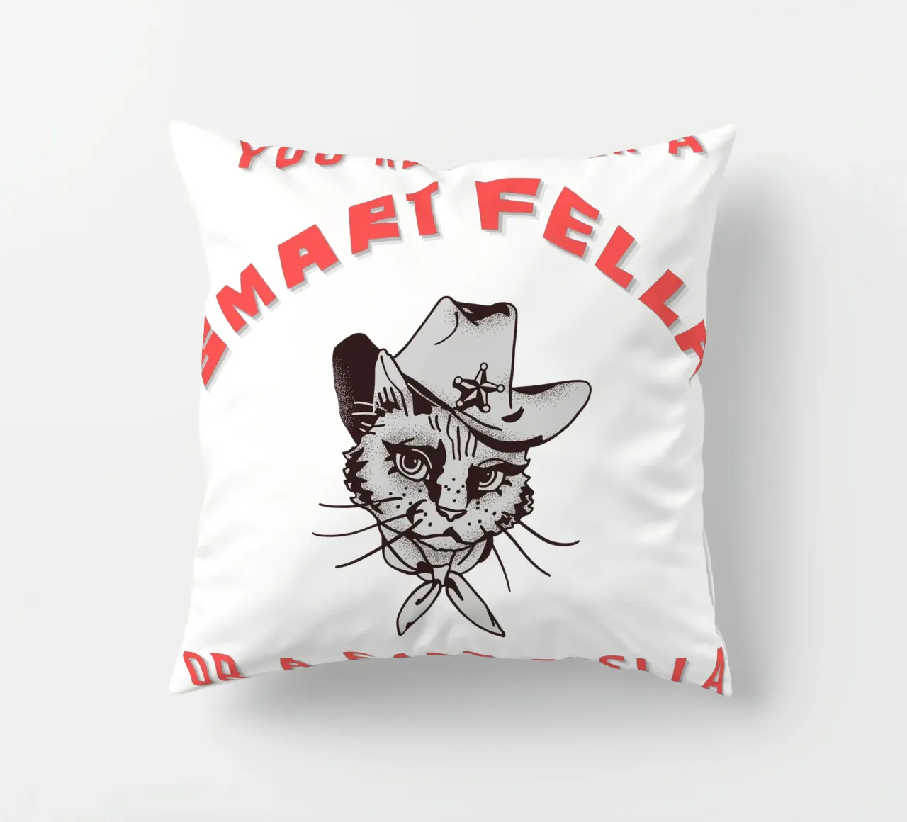 Cat Are You A Smart Fella Or Fart Smella Retro Cartoon cuscino da ririedis