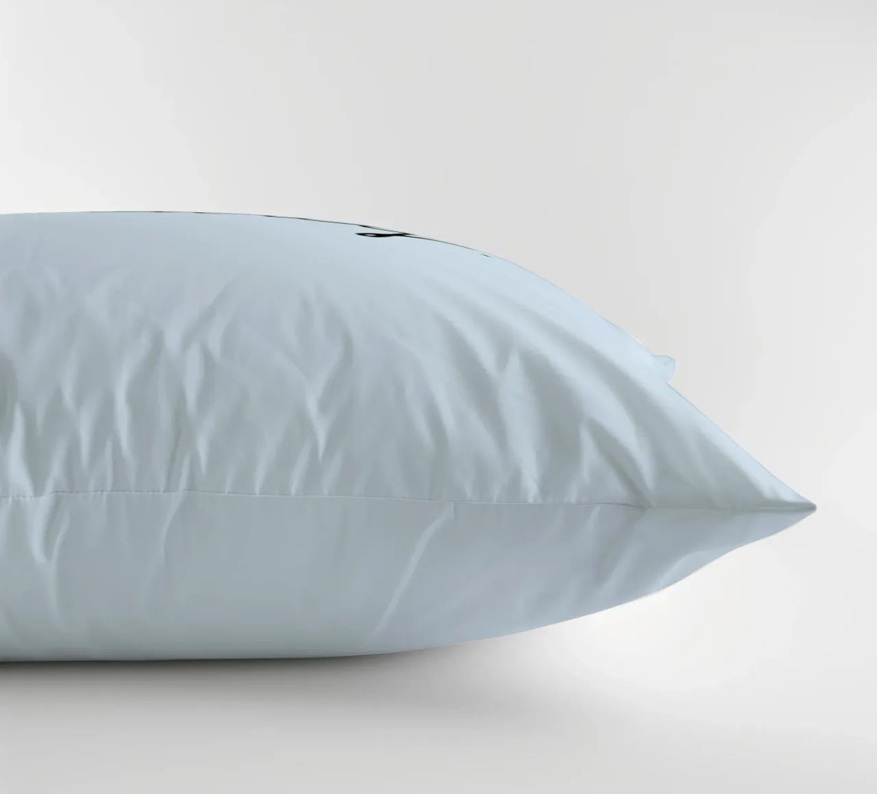 Today cuscino da Studio One