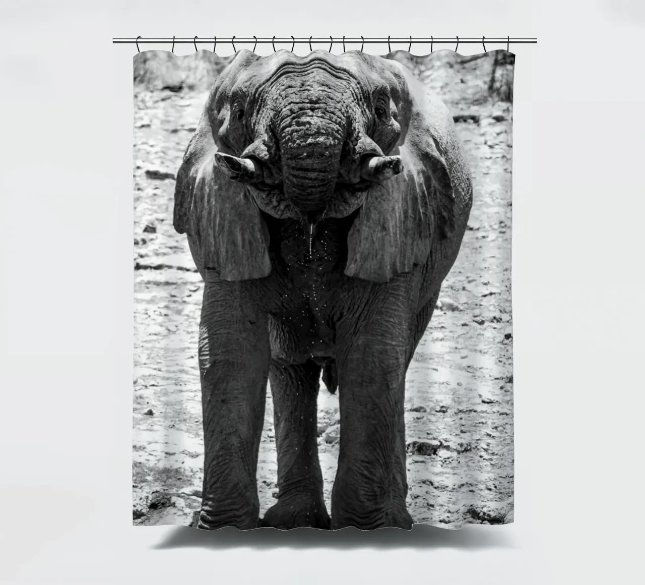 Namibian Elephant shower curtain by FarbFunken