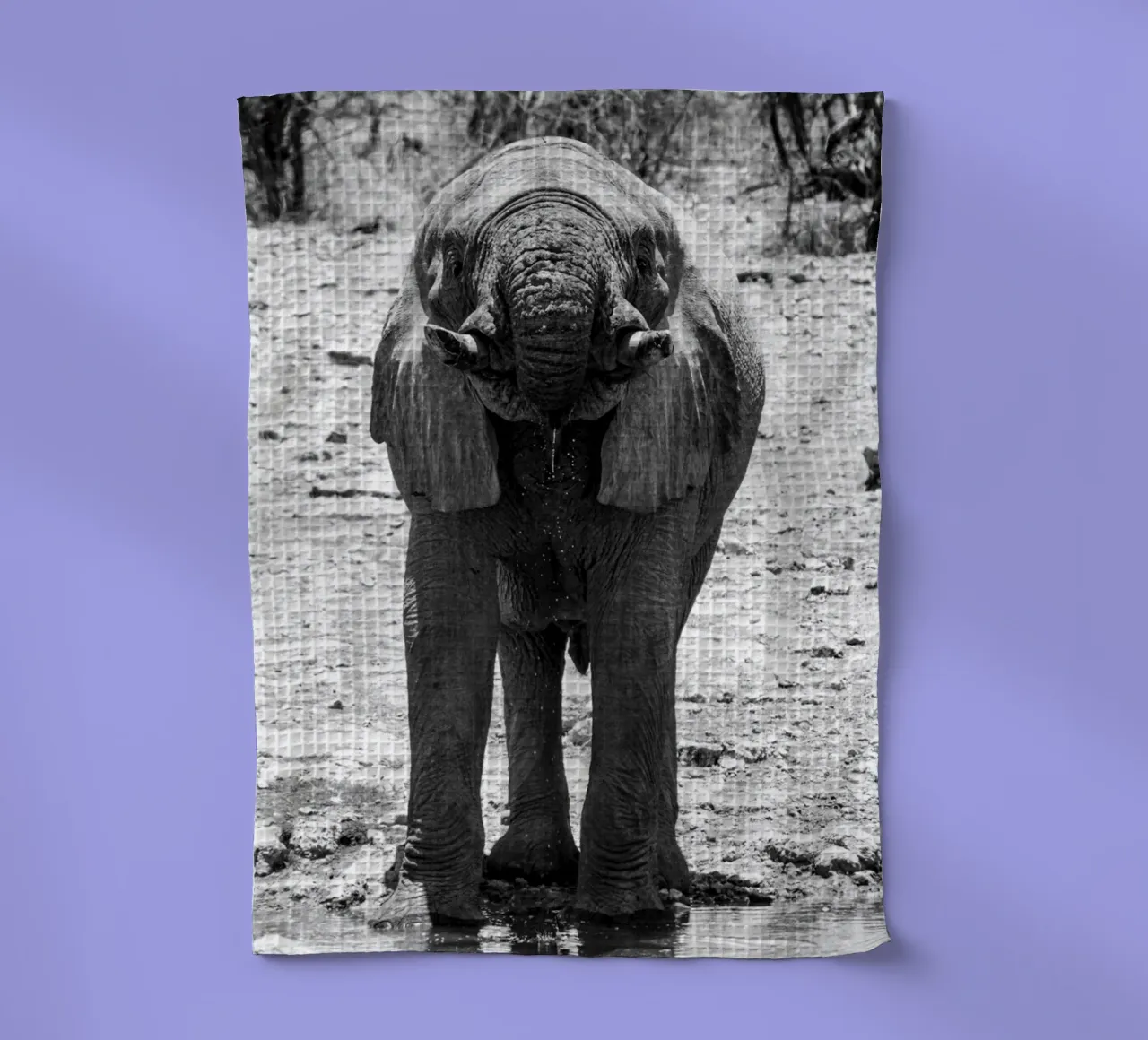 Namibian Elephant canovaccio da cucina da FarbFunken