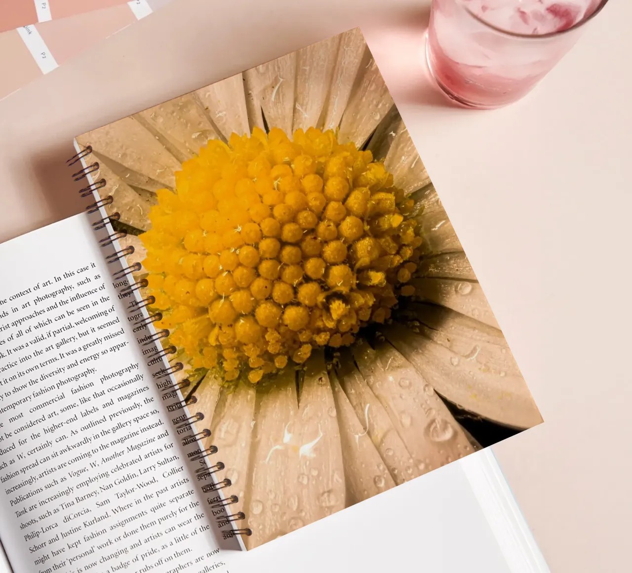 Daisy with water droplets on the petals spiral notebook by Marcus Beckert | Fotografie