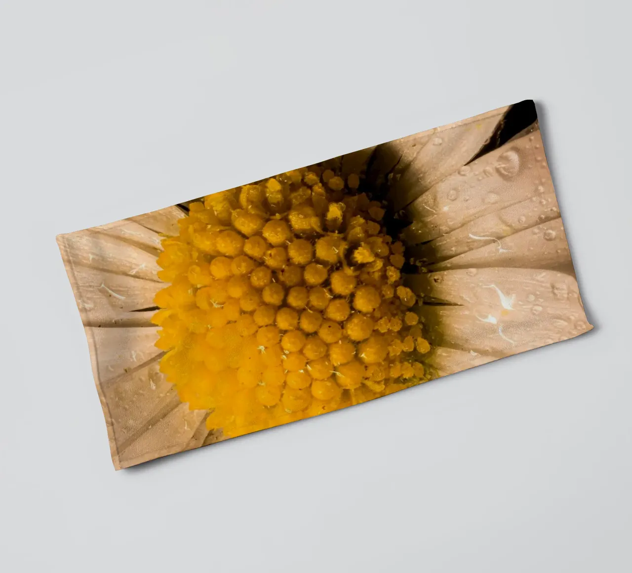 Daisy with water droplets on the petals towel by Marcus Beckert | Fotografie