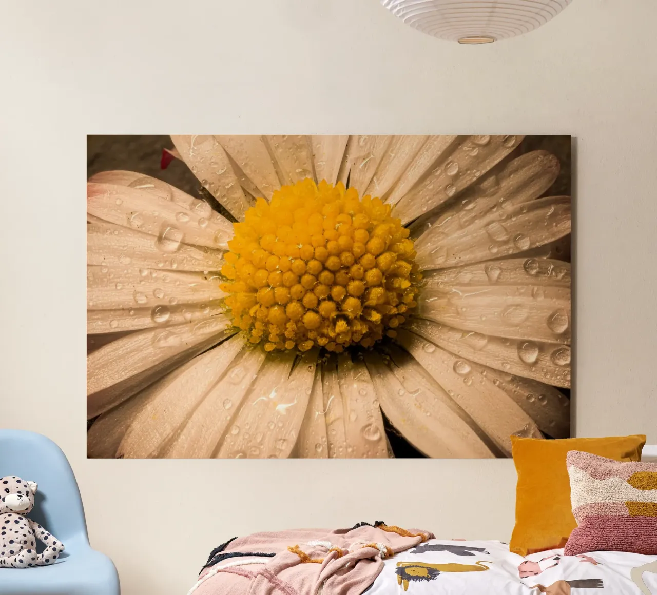 Daisy with water droplets on the petals alu-dibond by Marcus Beckert | Fotografie