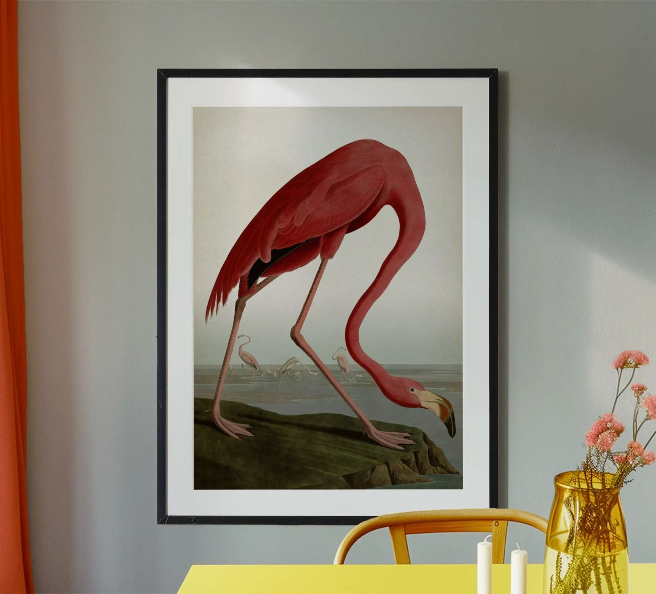 Vintage Audubon 1 American Flamingo poster de Vintage Print Collection