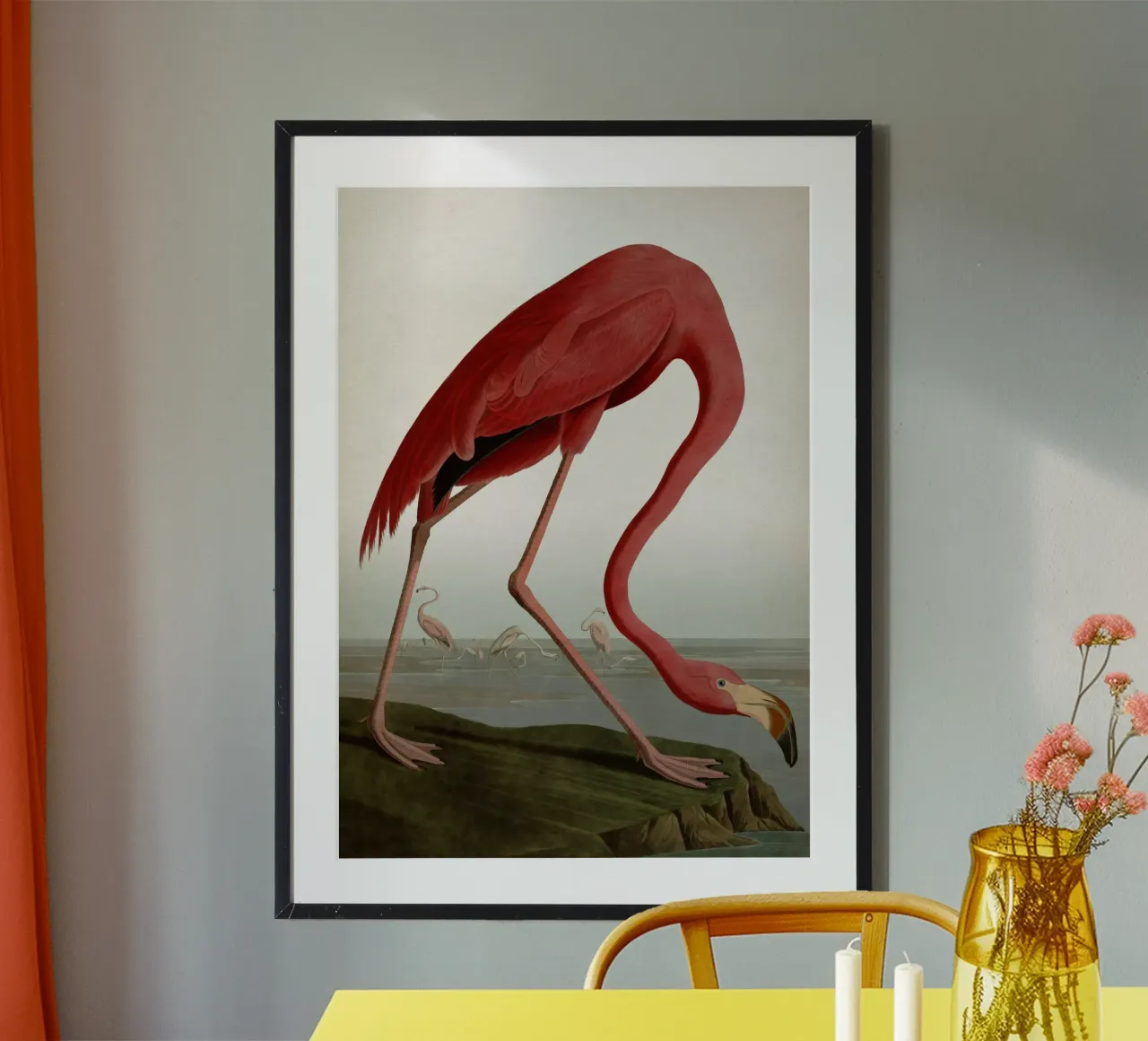 Vintage Audubon 1 American Flamingo hahnemühle de Vintage Print Collection