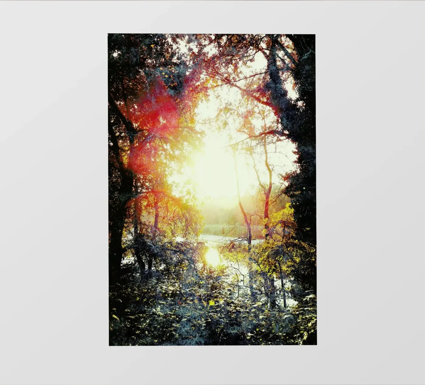 Sunset Gift backlit folie van Angelo Cerantola
