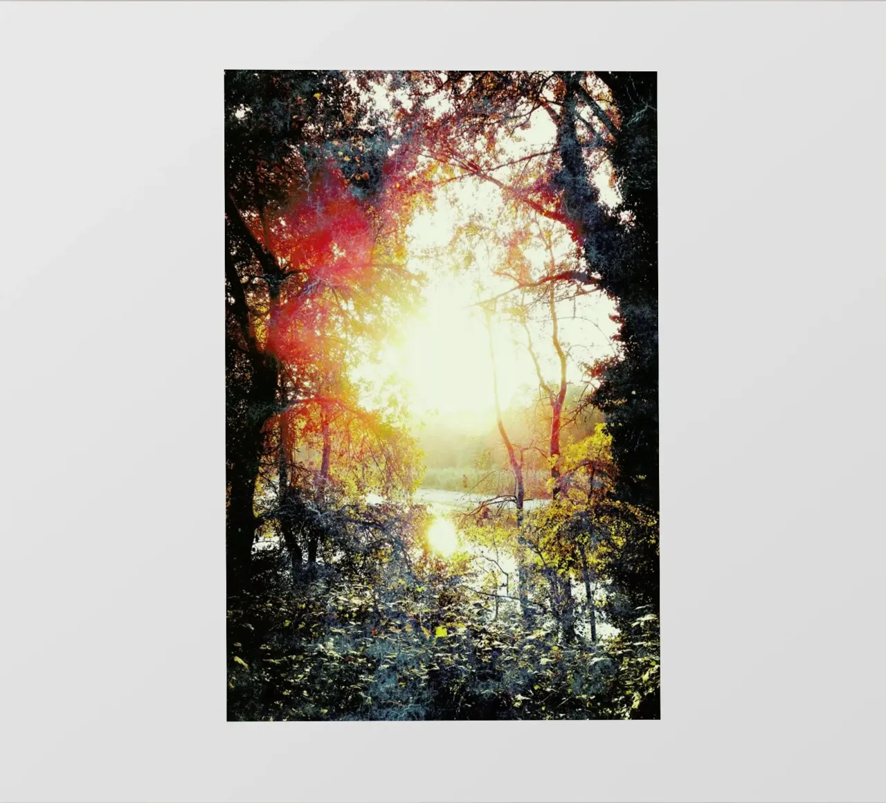 Sunset Gift photo wallpaper by Angelo Cerantola