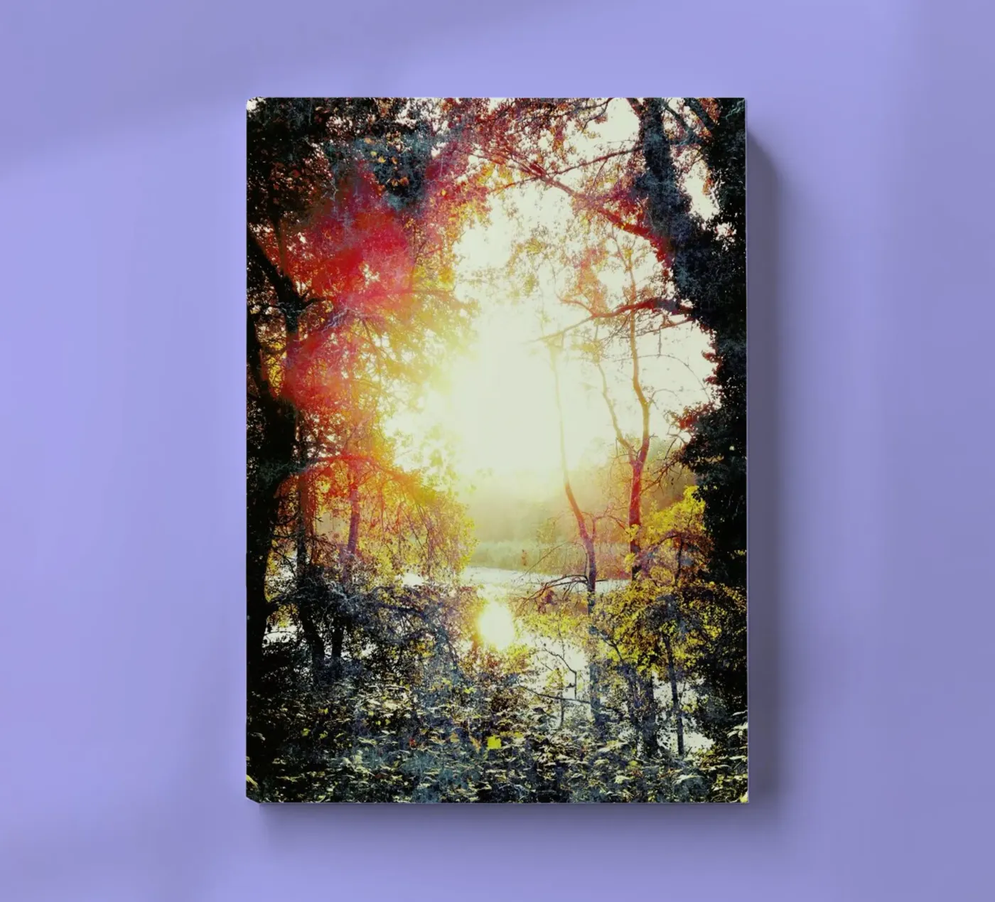 Sunset Gift quaderno da Angelo Cerantola