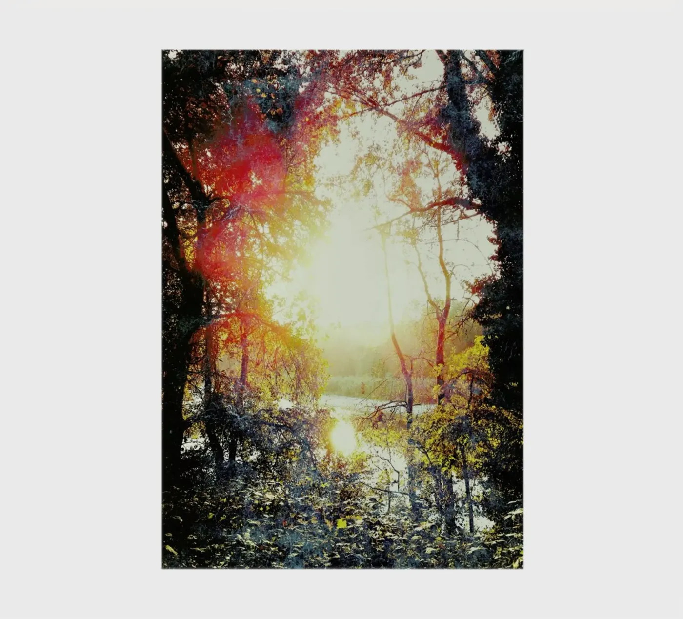 Sunset Gift quaderno da Angelo Cerantola