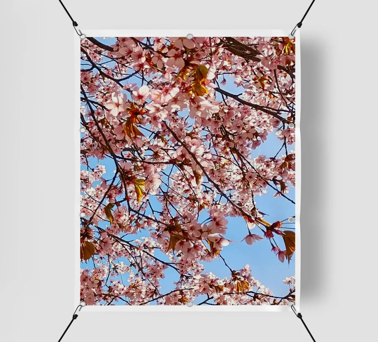 cherry blossom telo in pvc da SunflowerDE