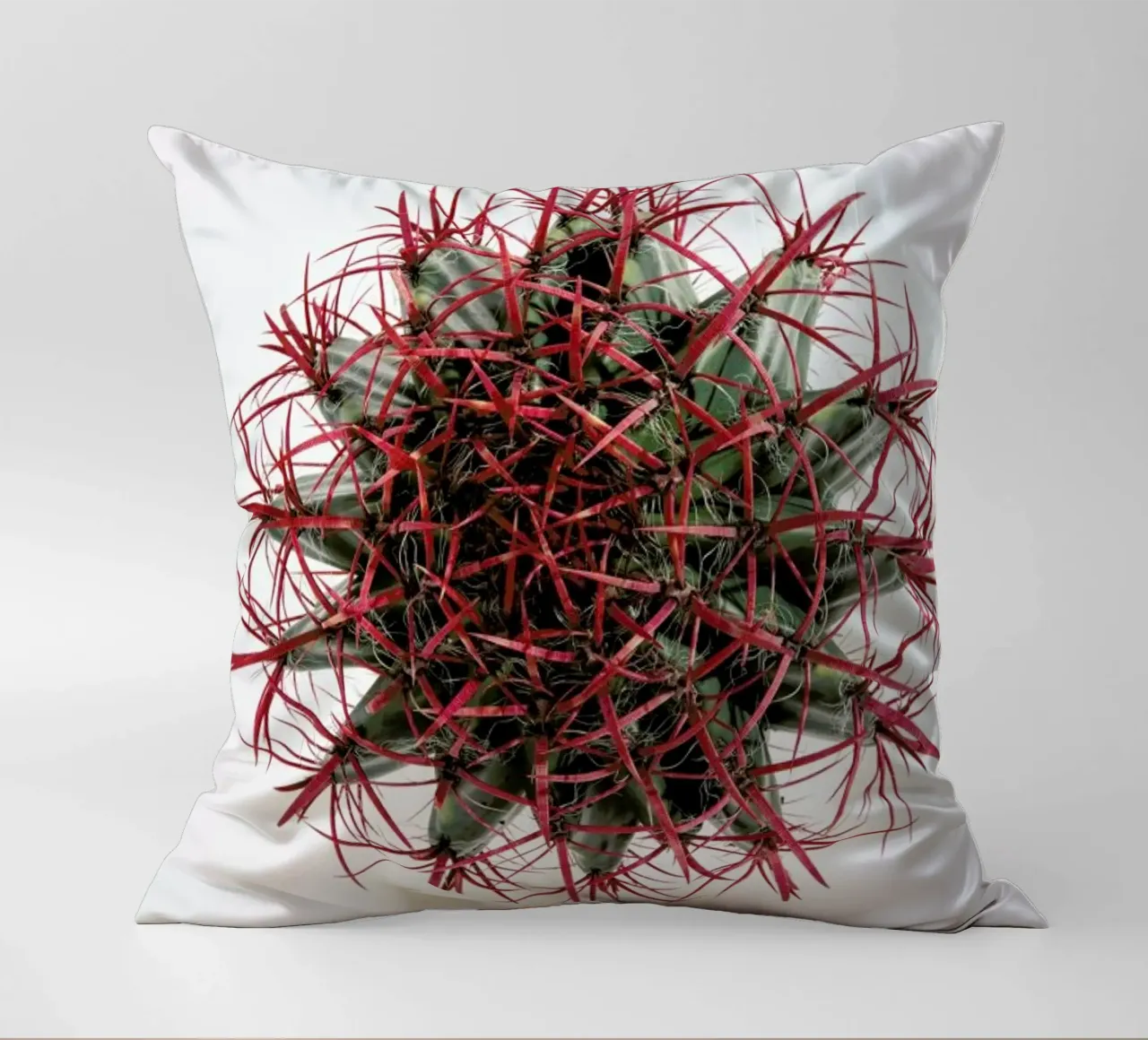 Botanical Obsession 17 cuscino da Shot By Clint