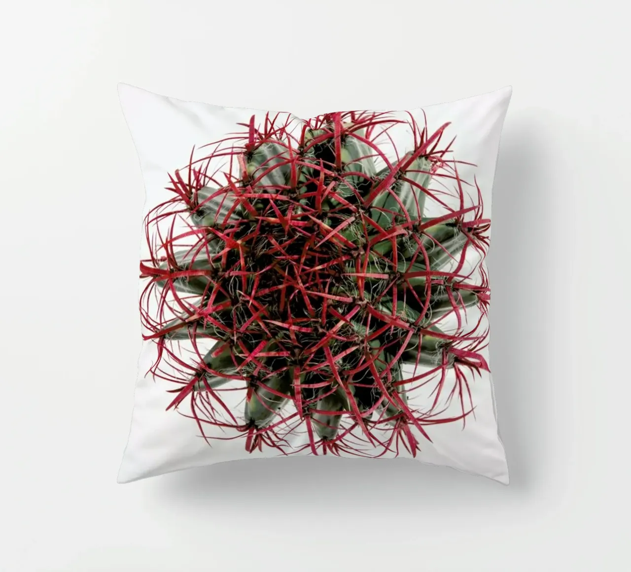 Botanical Obsession 17 cuscino da Shot By Clint