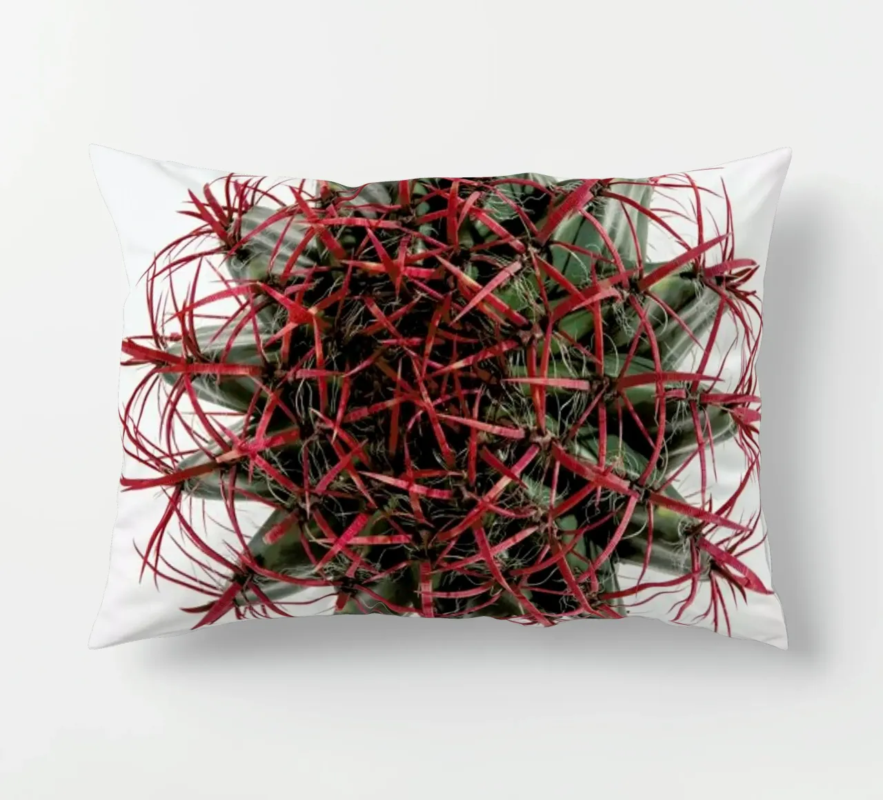 Botanical Obsession 17 cuscino da Shot By Clint