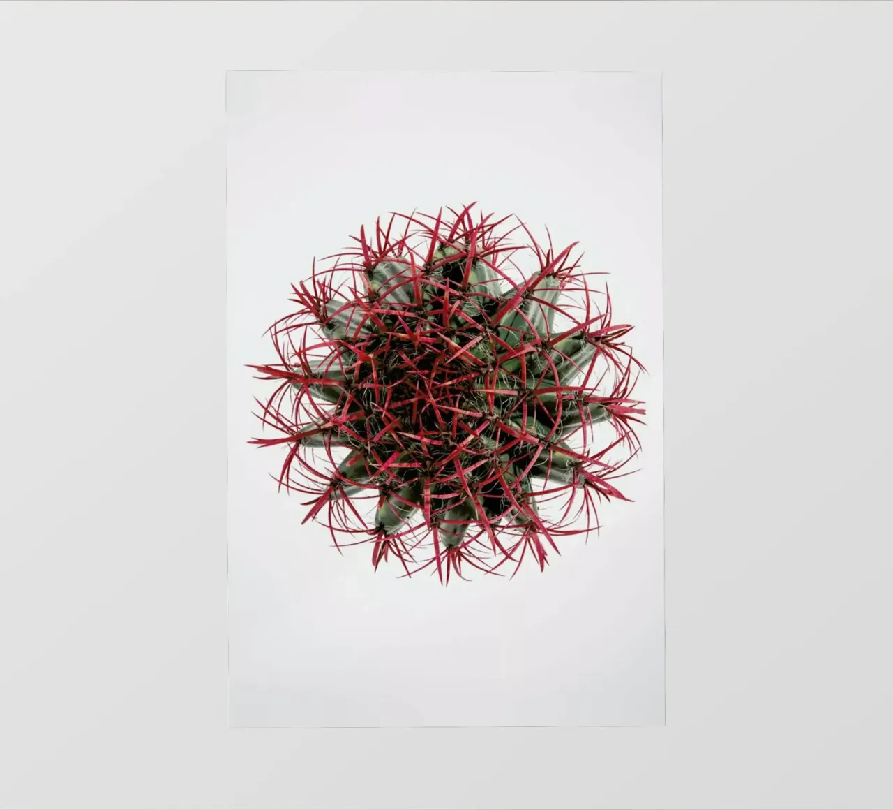 Botanical Obsession 17 telo in pvc da Shot By Clint