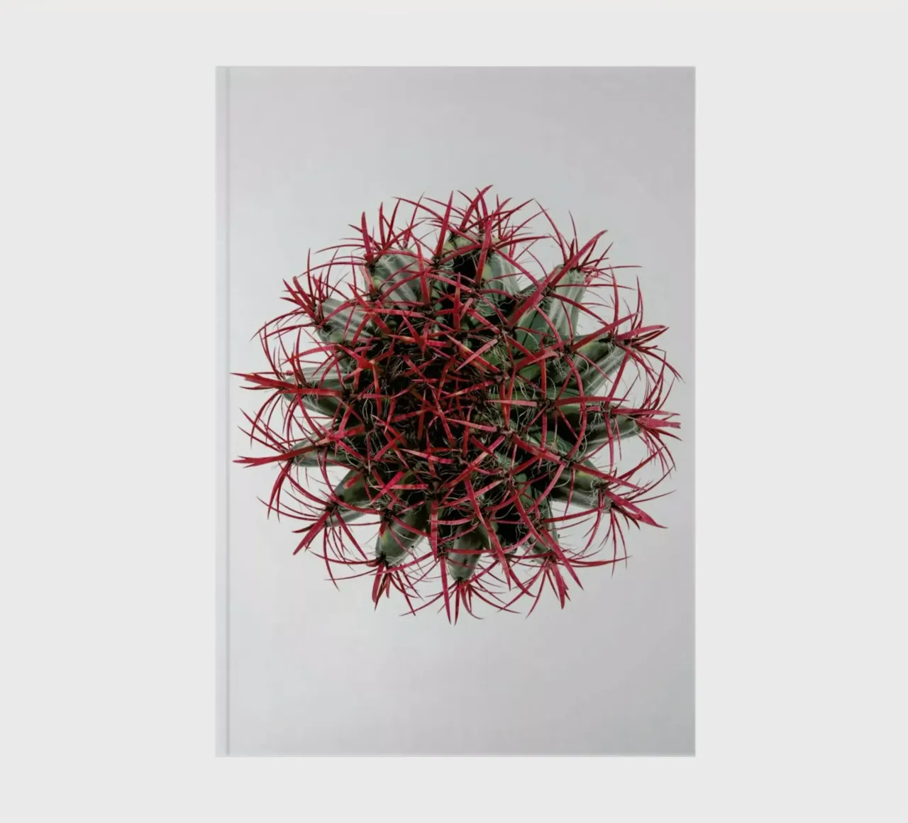 Botanical Obsession 17 notebook by Shot By Clint