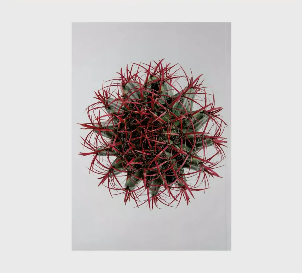 Botanical Obsession 17 notebook by Shot By Clint