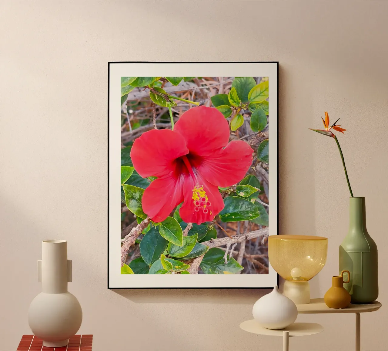 Hibiskus plexiglass da SunflowerDE