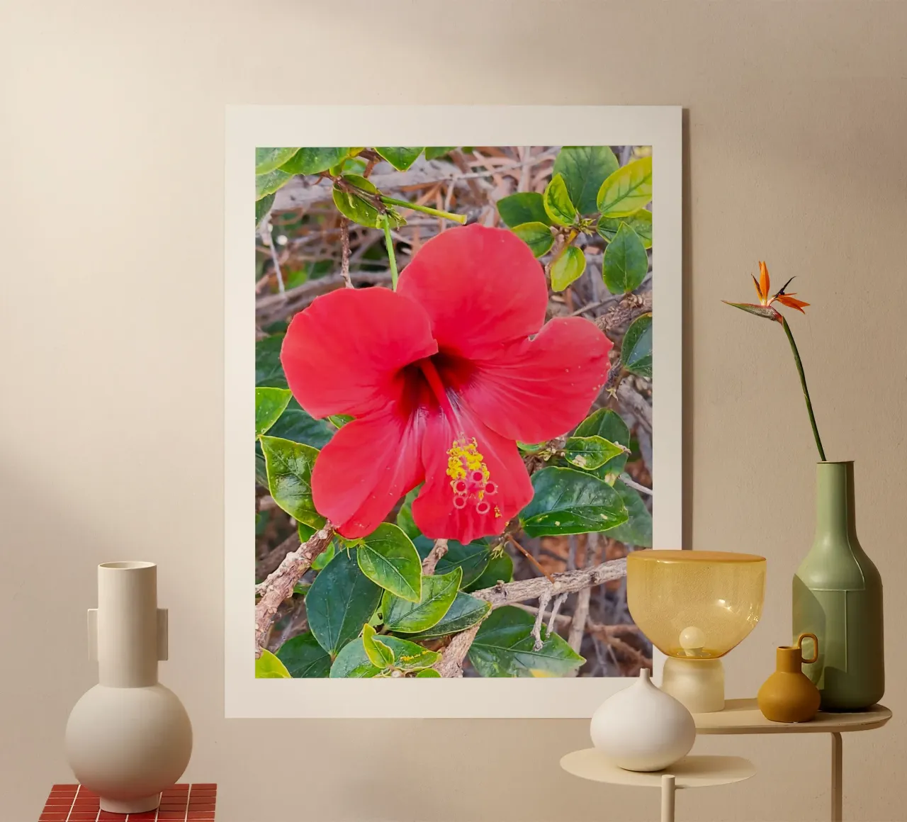 Hibiskus plexiglass da SunflowerDE