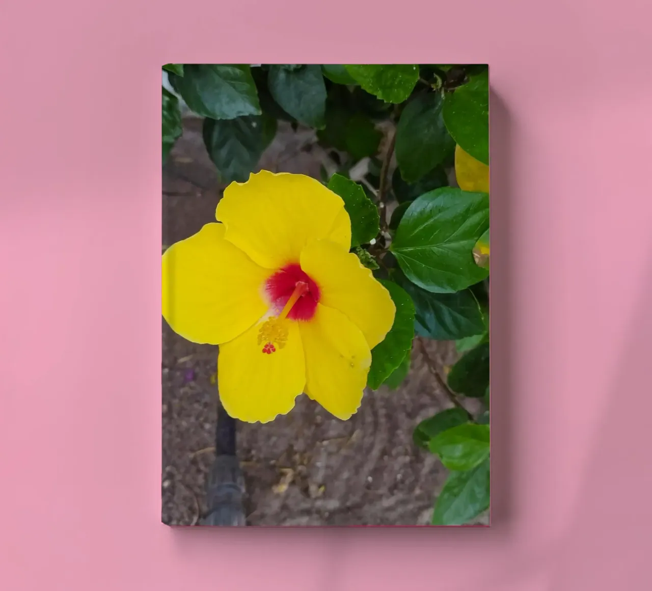 Hibiskus notebook by SunflowerDE